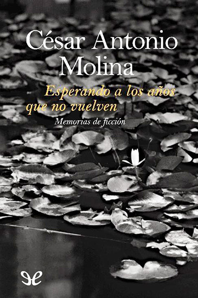 Descargar Esperando a los años que no vuelven - César Antonio Molina - Descarga libros gratis en PDF, EPUB o Mobi descargar esperando a los anos que no vuelven cesar antonio molina 6867ac3e6d952 - Descargar Esperando a los años que no vuelven - César Antonio Molina - Descarga libros gratis en PDF, EPUB o Mobi