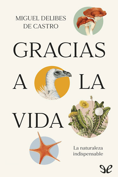Descargar Gracias a la vida - Miguel Delibes de Castro - Descarga libros gratis en PDF, EPUB o Mobi descargar gracias a la vida miguel delibes de castro 687f66f63b4e9 - Descargar Gracias a la vida - Miguel Delibes de Castro - Descarga libros gratis en PDF, EPUB o Mobi