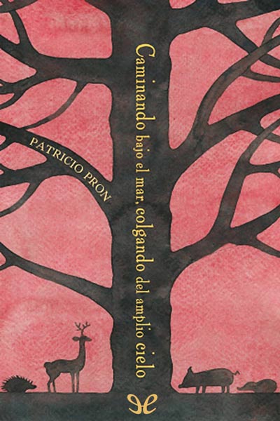 Descargar Caminando bajo el mar, colgando del amplio cielo - Patricio Pron - Descarga libros gratis en PDF, EPUB o Mobi descargar caminando bajo el mar colgando del amplio cielo patricio pron 6899c501322dc - Descargar Caminando bajo el mar, colgando del amplio cielo - Patricio Pron - Descarga libros gratis en PDF, EPUB o Mobi